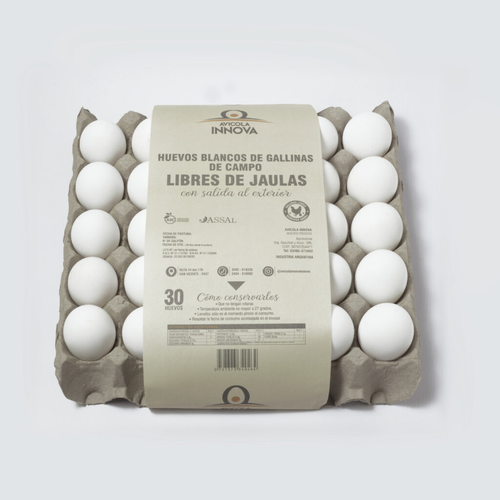 Maple de 30 huevos de gallinas blancas libres de jaulas.
